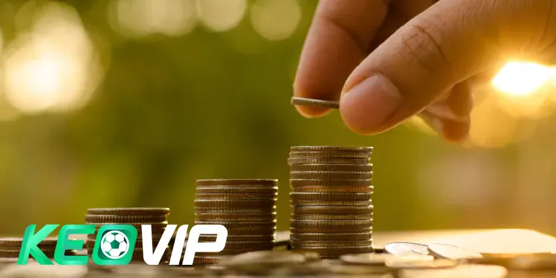 Kinh nghiệm chọn và sử dụng phần mềm soi kèo hiệu quả